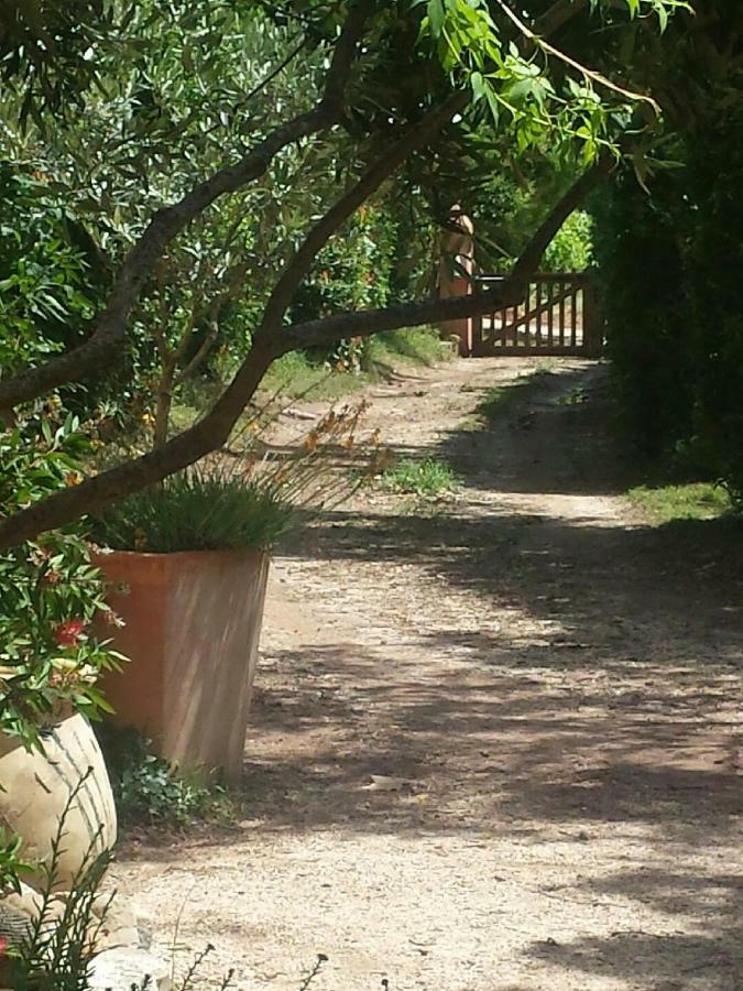Les Anes De Petit Jean Hotel Pierrefeu-du-Var Exterior foto